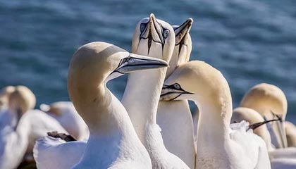 九游游戏中心下载-绝地反击！强队逆转获胜续写冠军争夺历史，绝地反击上演惊天逆转