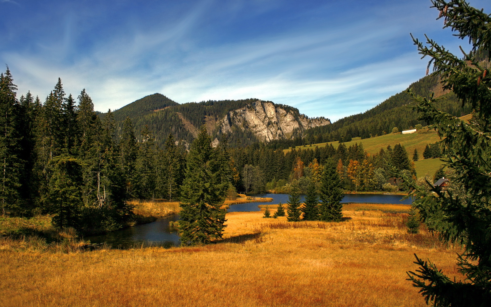 jiuyou-世界冠军之争！美国女足挑战德国，大战在即，德国女足美国女足