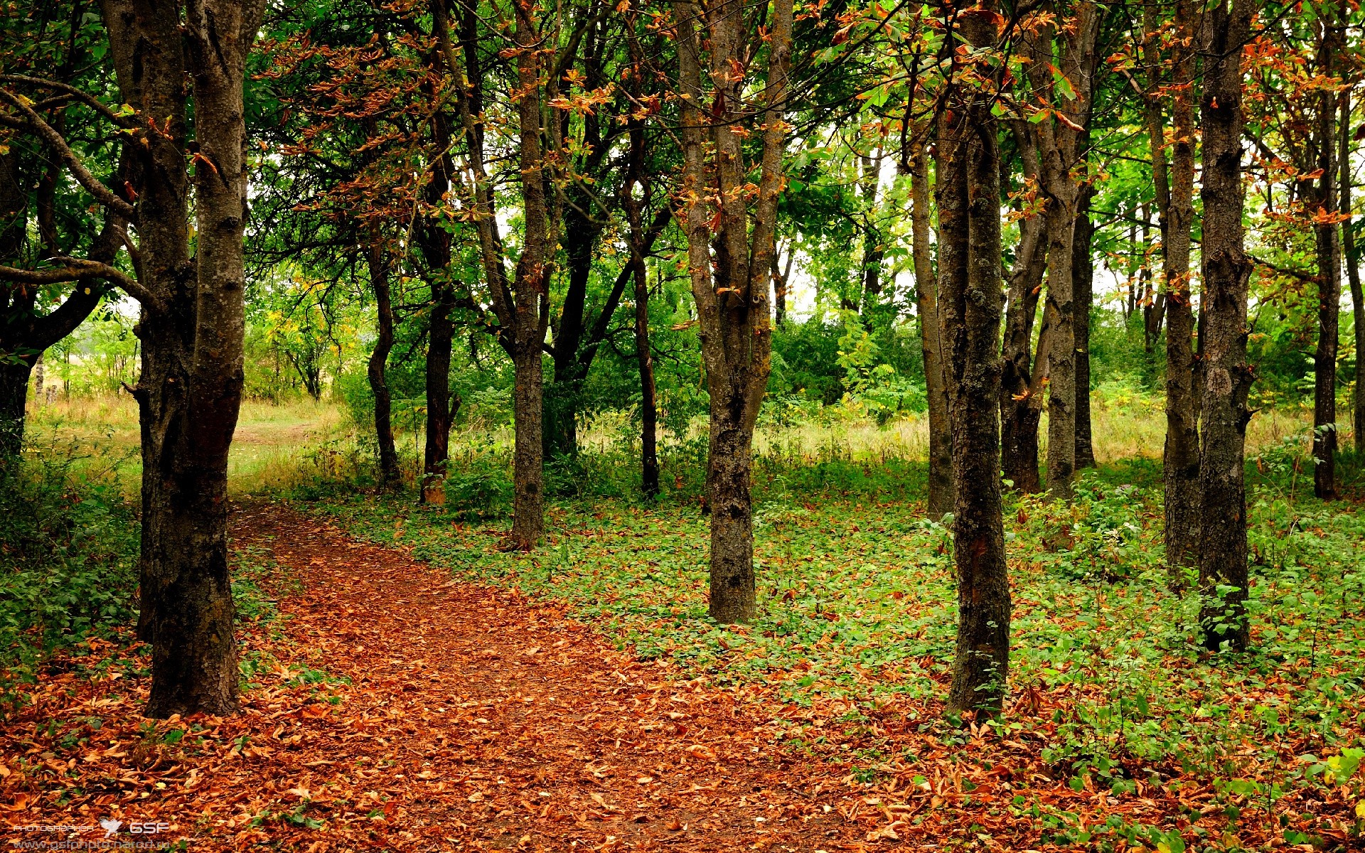 九游平台-乌迪内斯客场击败桑普多利亚，德保罗建功制胜，乌迪内斯首发