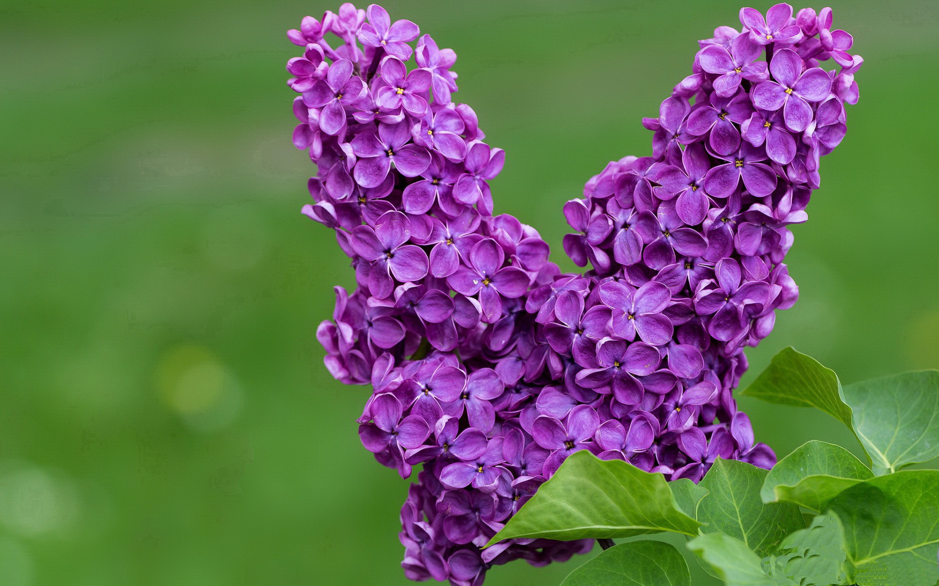 九游娱乐注册-蓝军客场平切尔西，防守表现出色，蓝军客场平切尔西,防守表现出色吗