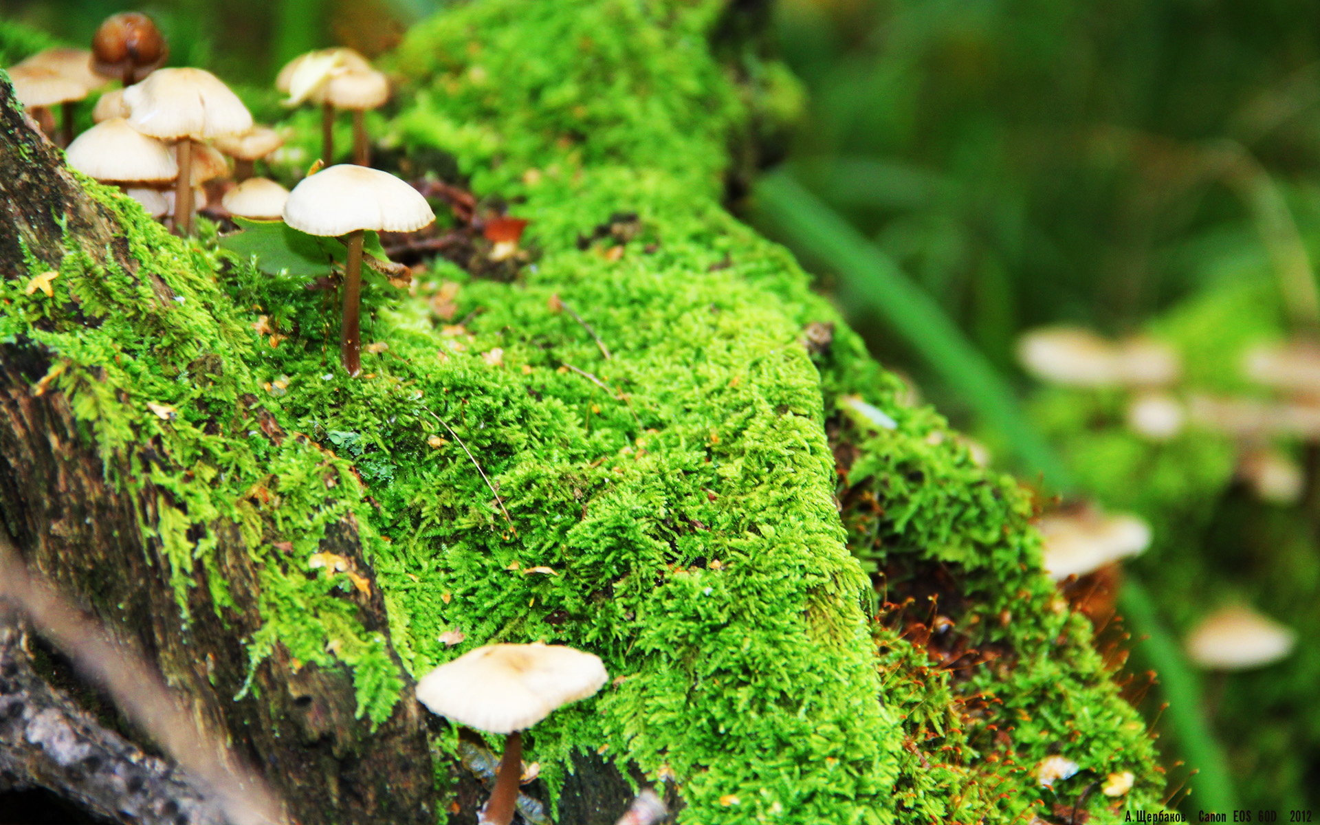 九游娱乐网站-阿森纳客场不敌对手,遭遇背水一战,阿森纳水平