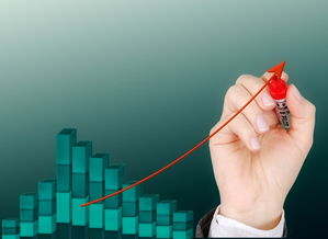 九游体育网页入口-中小学体育课外活动管理优化策略,中小学体育课外活动管理优化策略研究