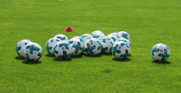 九游娱乐官网-德甲俱乐部足球与社会公益结合的品牌创新,德甲合作伙伴