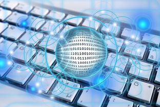 九游娱乐比分网-篮球专项技能教学创新实践及效果评估，篮球教学实施报告 教学能力比赛