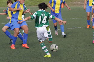 九游-体育新闻中心发布体育内容原创度评估智能工具，原创体育sports