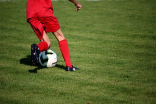 九游app下载-冬奥场馆智能系统协助运动员热身训练，冬奥会设备