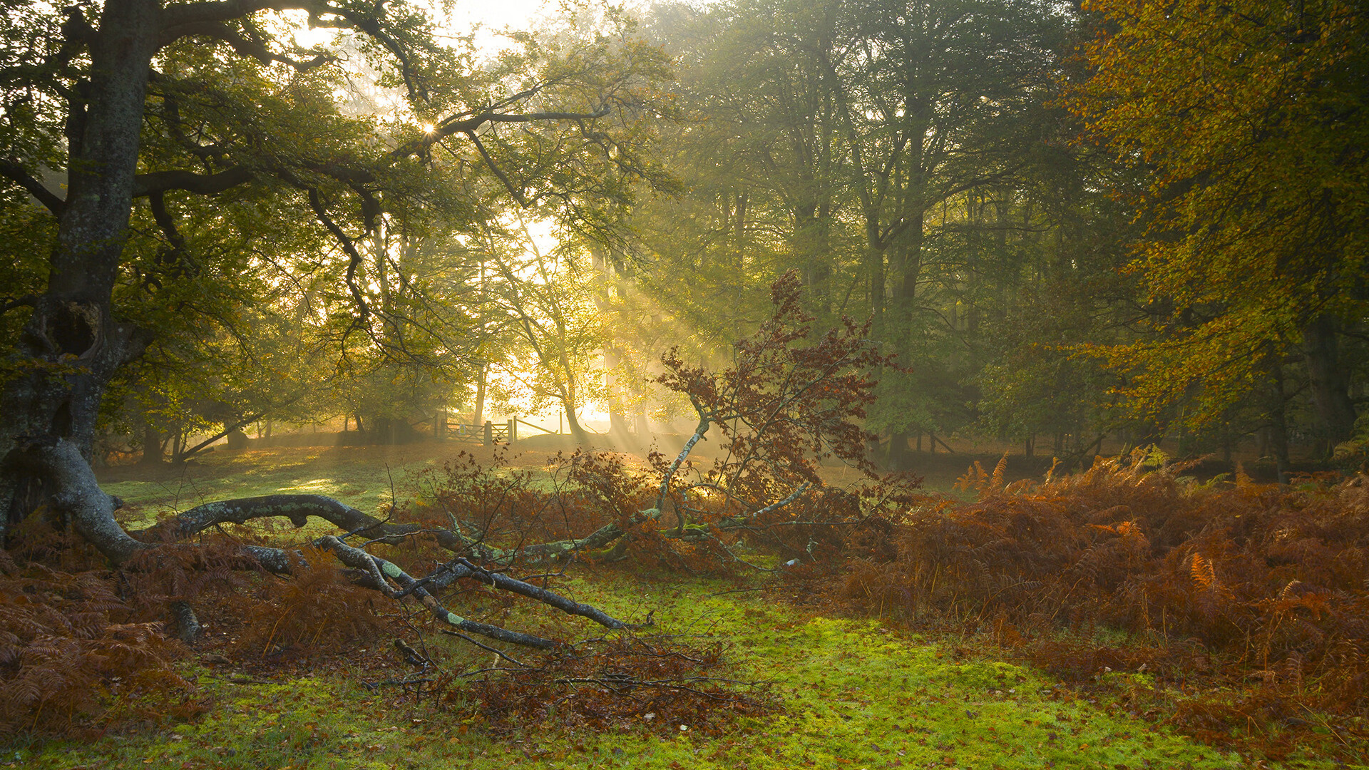 J9九游会-基层足球发展与教育体系脱节,基层足球发展与教育体系脱节的关系