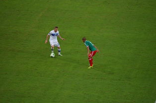 九游APP-体育新闻中心比赛争议讨论,最新体育比赛新闻稿