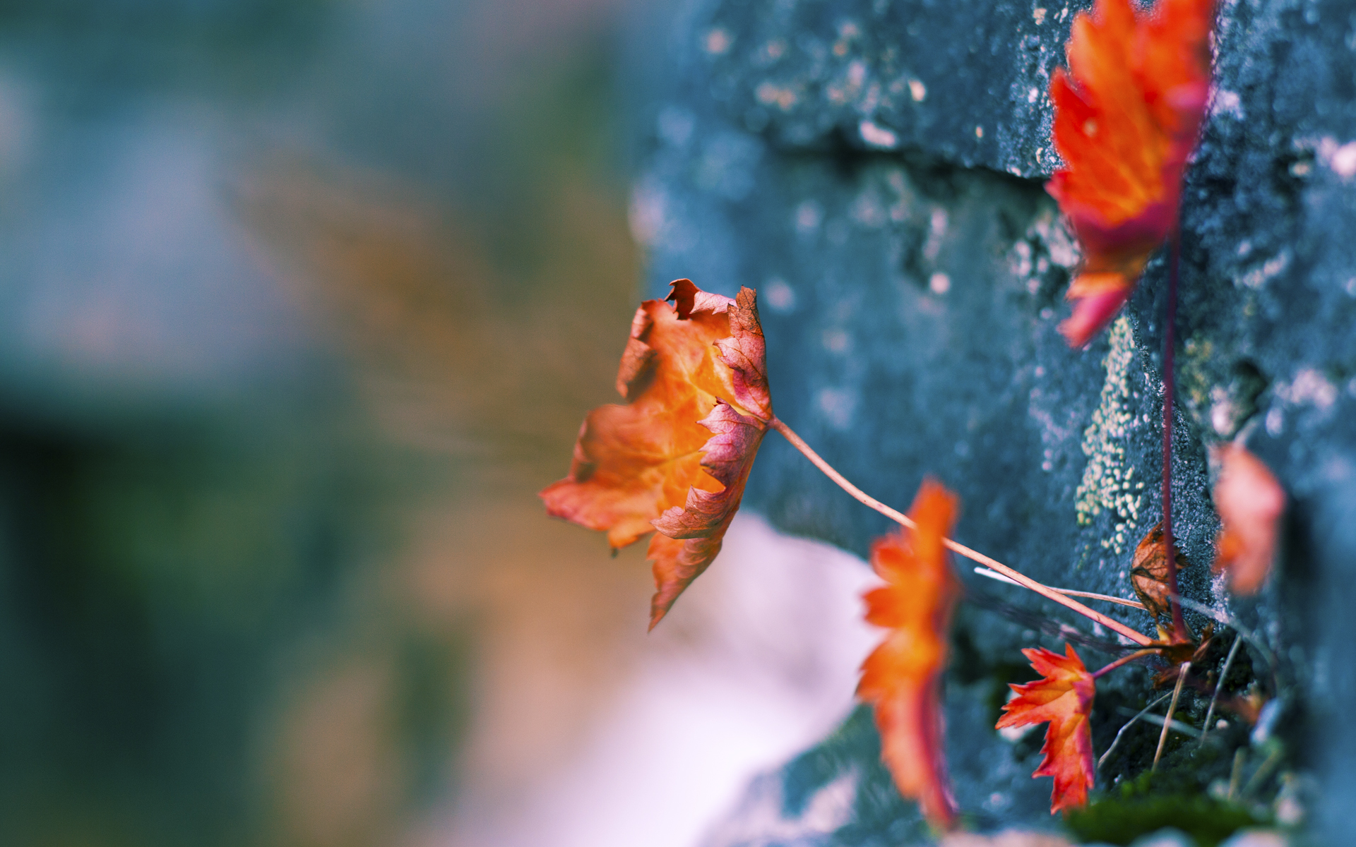 九游娱乐注册-校园足球鼓励多学科结合项目打造综合运动体验，打造校园足球特色校