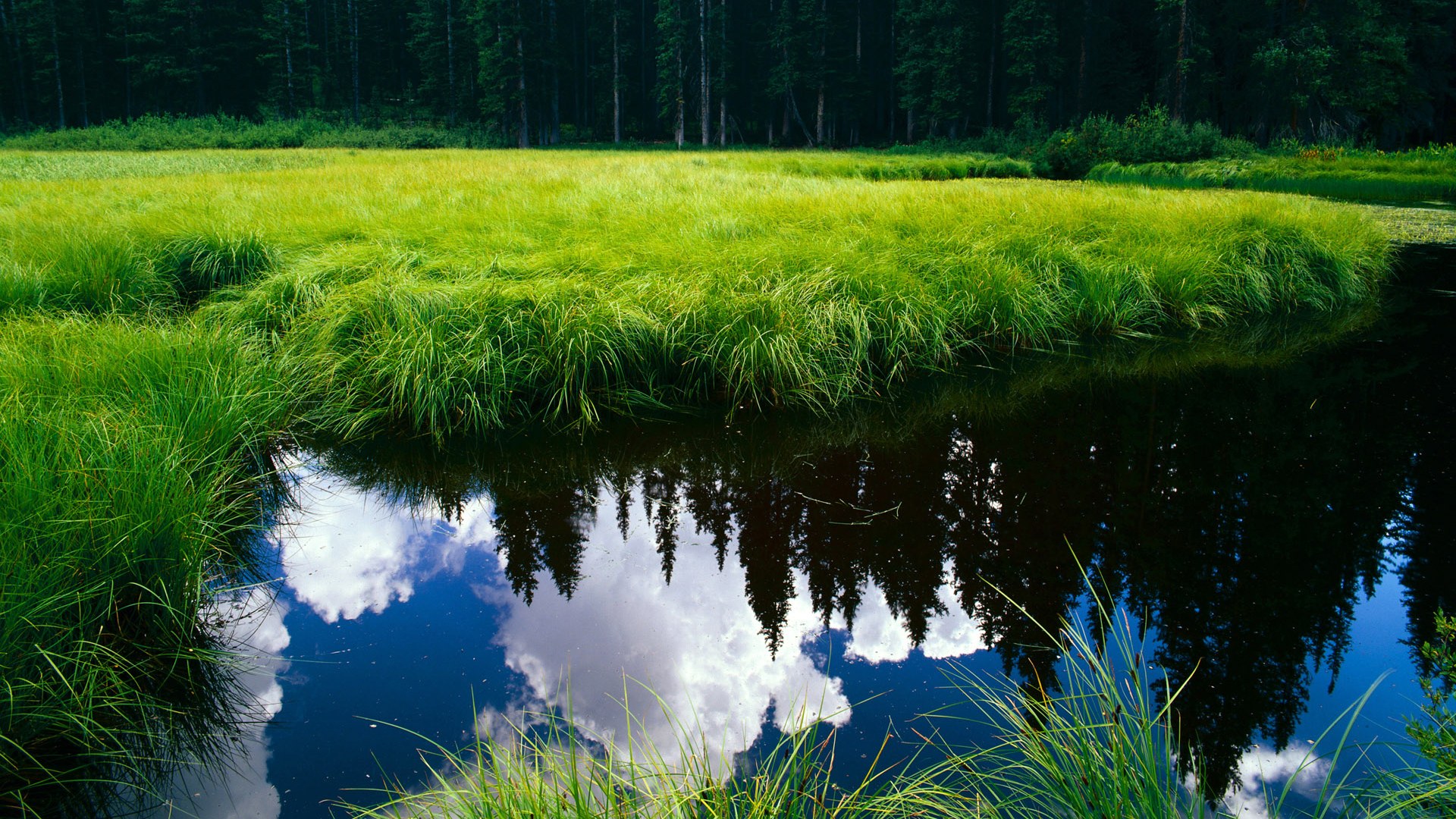 九游app下载-球员家庭日暖心活动，促进俱乐部与球迷关系，球员家属