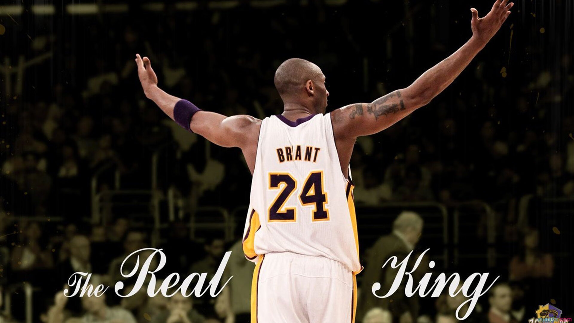 线上青少年篮球赛事直播平台用户稳步增长，推动全民运动热潮，青少年篮球赛视频